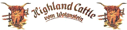 Banner Wotanstein
